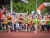 183-DSC_8611